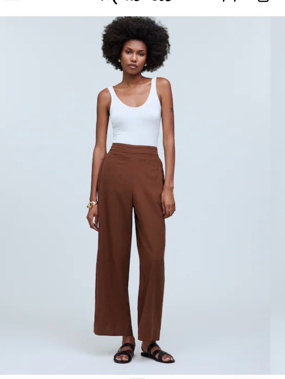 Madewell Brown High-Rise Wide-Leg Pants